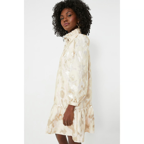 Tuckernuck Champagne Fil Coupe Palmerston Dress Size Small - Picture 4 of 14